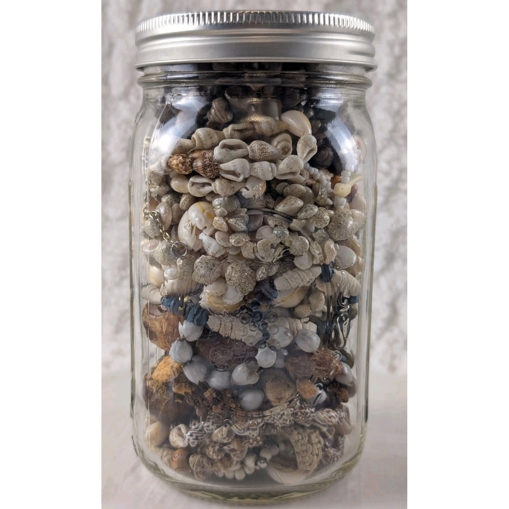 32 Oz Shell Jewelry Mystery Jar Wearable Seashell Necklaces Bracelets Mixed Lot